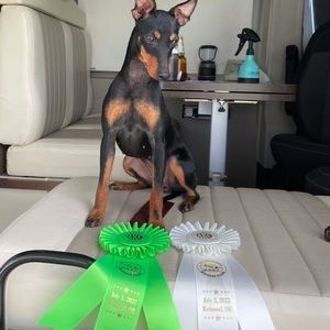 Meet your Posher, Julia